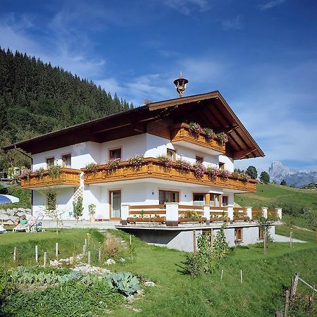 Ferienhaus Rosi Санкт-Мартин-ам-Тенненгебирге Экстерьер фото